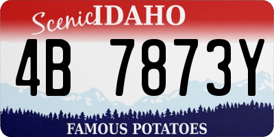 ID license plate 4B7873Y