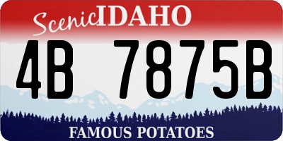 ID license plate 4B7875B
