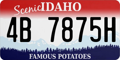 ID license plate 4B7875H