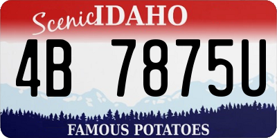 ID license plate 4B7875U