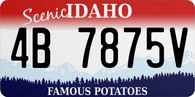 ID license plate 4B7875V
