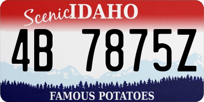 ID license plate 4B7875Z