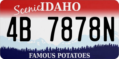 ID license plate 4B7878N