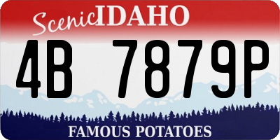 ID license plate 4B7879P