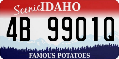 ID license plate 4B9901Q