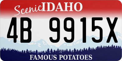 ID license plate 4B9915X