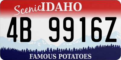 ID license plate 4B9916Z