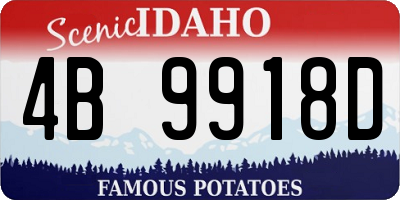ID license plate 4B9918D