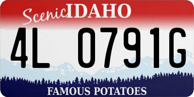 ID license plate 4L0791G