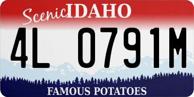 ID license plate 4L0791M