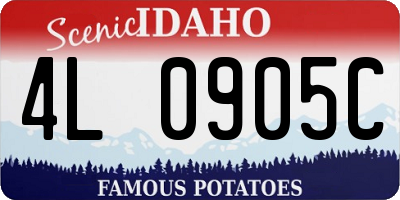 ID license plate 4L0905C