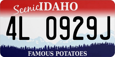 ID license plate 4L0929J