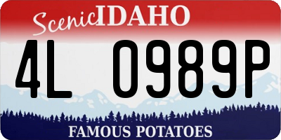 ID license plate 4L0989P
