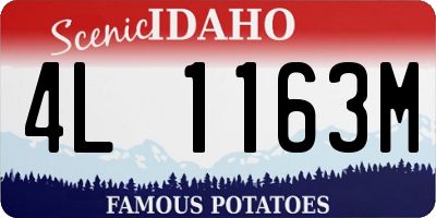 ID license plate 4L1163M