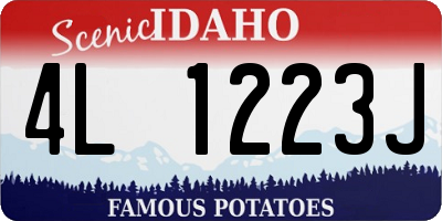 ID license plate 4L1223J