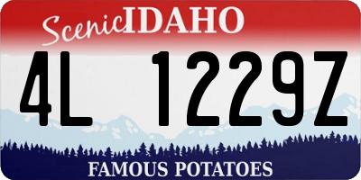 ID license plate 4L1229Z