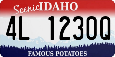 ID license plate 4L1230Q