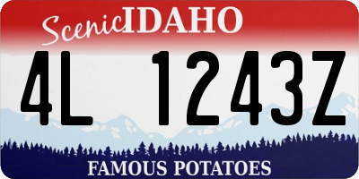 ID license plate 4L1243Z
