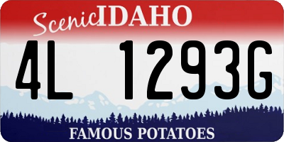 ID license plate 4L1293G