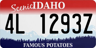 ID license plate 4L1293Z
