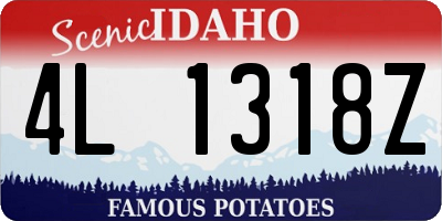 ID license plate 4L1318Z
