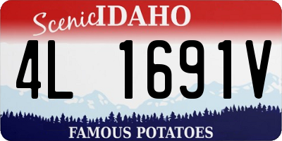 ID license plate 4L1691V