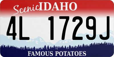 ID license plate 4L1729J