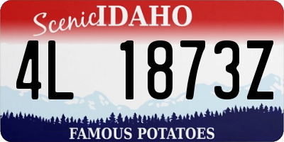 ID license plate 4L1873Z