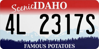 ID license plate 4L2317S