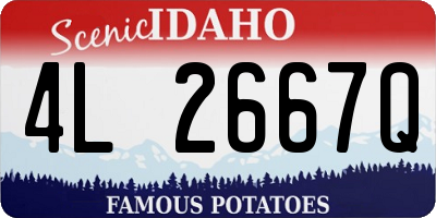 ID license plate 4L2667Q