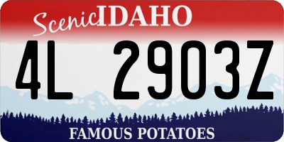 ID license plate 4L2903Z