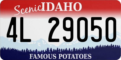 ID license plate 4L2905O