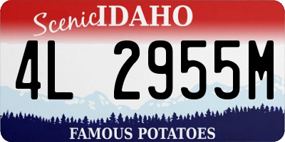 ID license plate 4L2955M