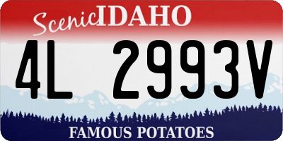 ID license plate 4L2993V