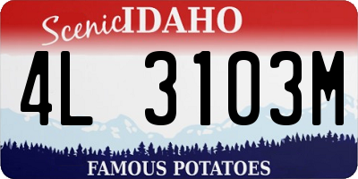 ID license plate 4L3103M