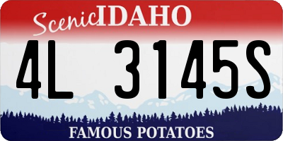 ID license plate 4L3145S