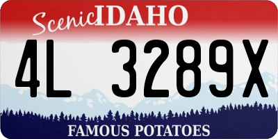 ID license plate 4L3289X