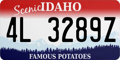 ID license plate 4L3289Z