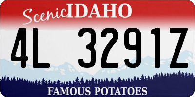 ID license plate 4L3291Z