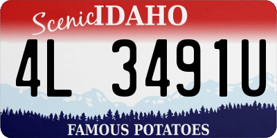 ID license plate 4L3491U