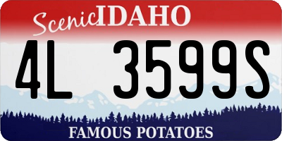 ID license plate 4L3599S