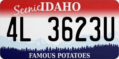 ID license plate 4L3623U