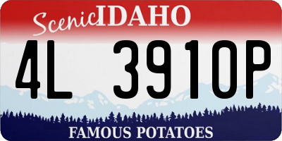 ID license plate 4L3910P