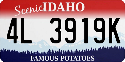 ID license plate 4L3919K
