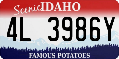ID license plate 4L3986Y