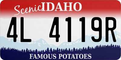 ID license plate 4L4119R
