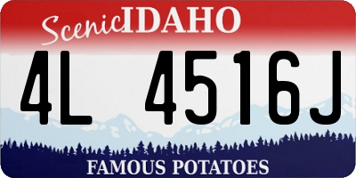 ID license plate 4L4516J