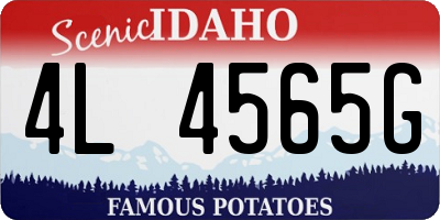ID license plate 4L4565G