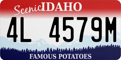 ID license plate 4L4579M