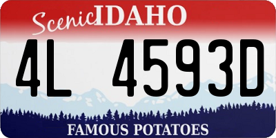 ID license plate 4L4593D